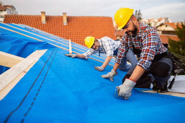 Steel Roofing in Belmont Estates, VA