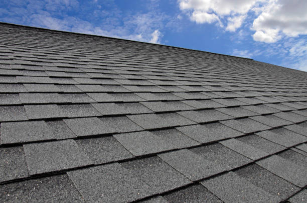 Best Roof Ventilation Installation  in Belmont Estates, VA